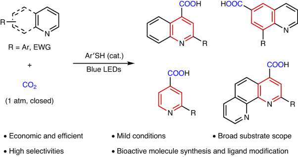 Visible-light-driven synthesis of N-heteroaromatic carboxylic acids by thiolate-catalysed carboxylation of C(<i>sp</i>²)–H bonds using CO<sub>2</sub>