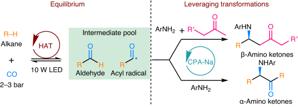 Enantioselective synthesis of β- and α-amino ketones through reversible alkane carbonylation