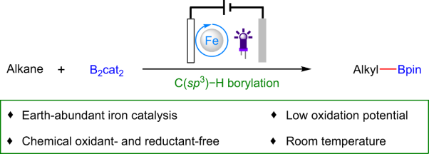Photoelectrochemically driven iron-catalysed C(<i>sp</i><sup>3</sup>)−H borylation of alkanes