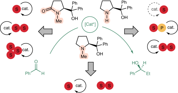 Divergence of catalytic systems in the zinc-catalysed alkylation of benzaldehyde mediated by chiral proline-based ligands