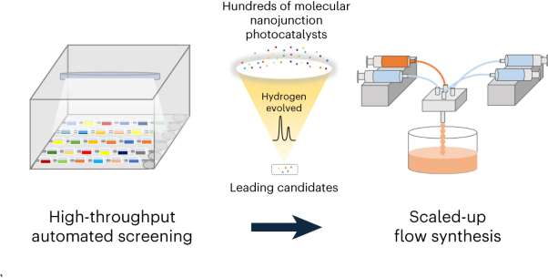 Accelerated discovery of molecular nanojunction photocatalysts for hydrogen evolution by using automated screening and flow synthesis