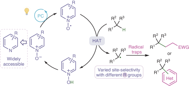 Pyridine <i>N</i>-oxides as hydrogen atom transfer reagents for site-selective photoinduced C(<i>sp</i><sup>3</sup>)–H functionalization