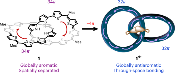 Aromaticity and through-space electronic coupling in [2]catenanes comprising two intertwined globally electron-delocalized octaphyrinoid rings