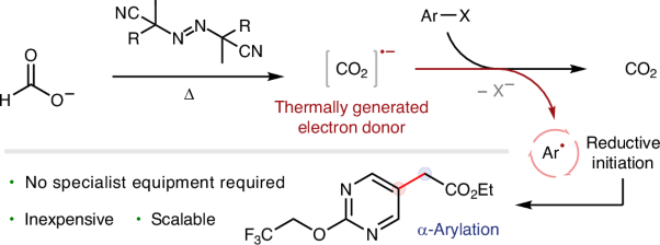 Reductive radical chain initiation through the thermal generation of carbon dioxide radical anion