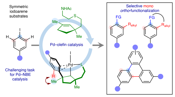 Complementary site selectivity in <i>ortho</i>-alkylative vicinal difunctionalization reactions of iodoarenes enabled by palladium–olefin catalysis