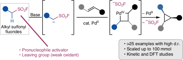 Alkyl sulfonyl fluorides as ambiphiles in the stereoselective palladium(II)-catalysed cyclopropanation of unactivated alkenes