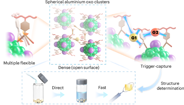 Precise synthesis of spherical aluminium oxo clusters for accurate surface guest recognition