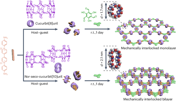 Mechanically interlocked monolayer and bilayer two-dimensional polymers with high elastic modulus