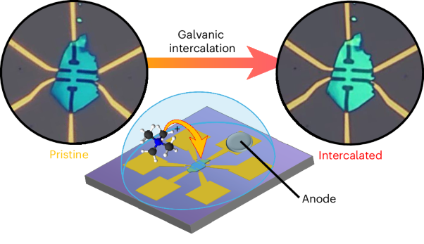 Galvanic intercalation of molecular cations into van der Waals materials and heterostructures