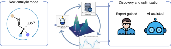 Heuristic data-driven approach for synergistic cobalt(IV)–enamine catalysis