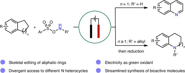 Divergent synthesis of N heterocycles from carbocycles enabled by electrochemical nitrogen atom insertion
