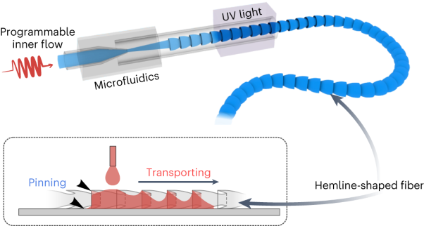 Flexible hemline-shaped microfibers for liquid transport