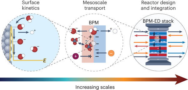 Multi-scale physics of bipolar membranes in electrochemical processes
