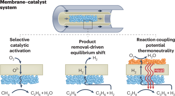 Multifunctional membrane–catalyst systems for chemical upgrading of shale gas