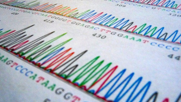 Rates of passerine body plan evolution in time and space - Nature