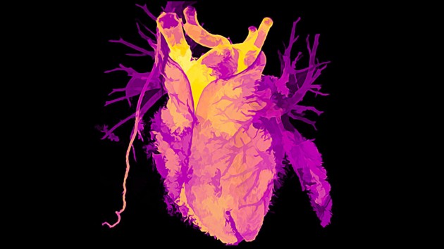 Pre-service teachers’ perceptions of instructional design in a flipped learning course: a Malaysian case study - nature.com