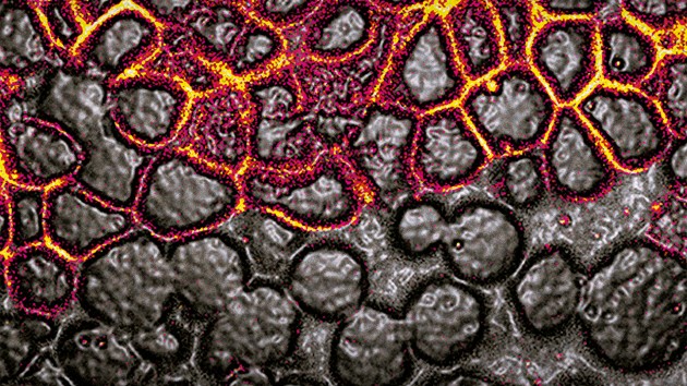 Nature Physics cover