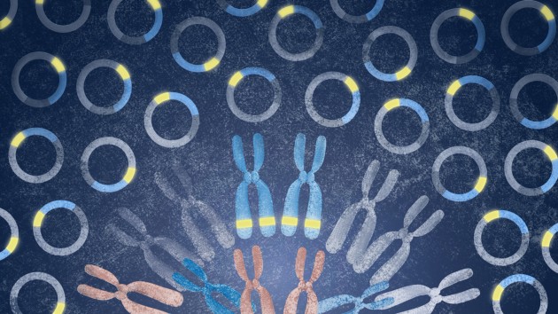 Nature Reviews Clinical Oncology