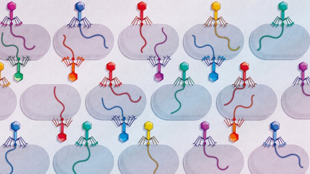 Nature reviews. Immunology cover