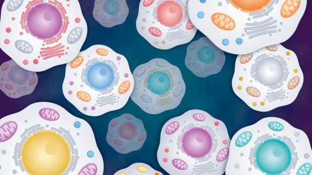 Nature Reviews Molecular Cell Biology