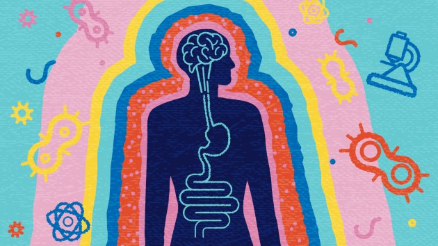 Brain Gut Connection concept with silhouette of human with brain and intestine surrounded by gut bacteria.