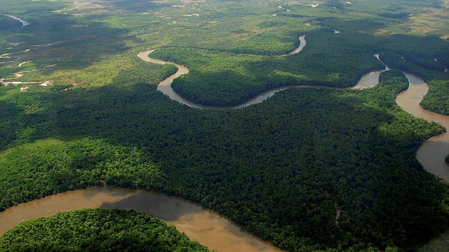 Drone view of the green forests and brown rivers of the Amazonia