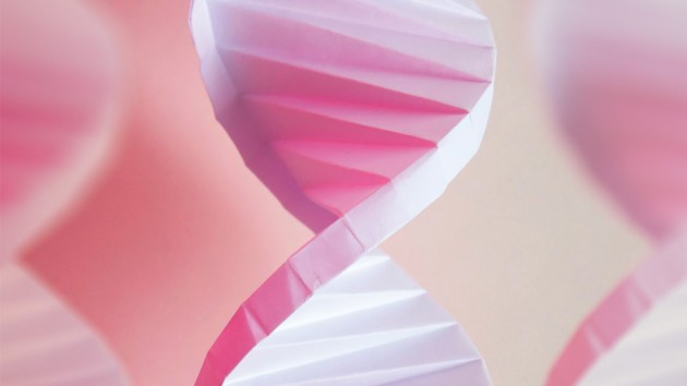 Schematic representation of a DNA helix as a pink ribbon.