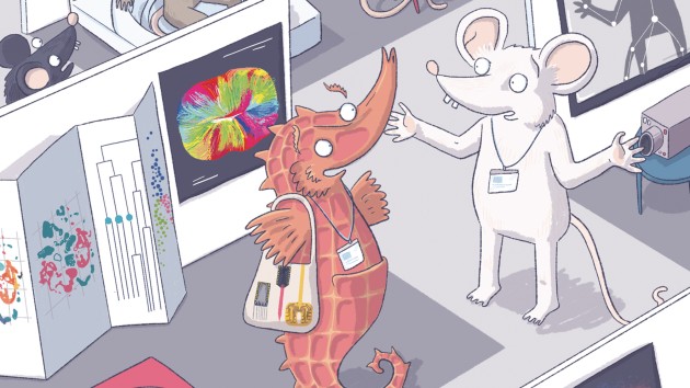 Focus on neuroscience methods Focus on neuroscience methods