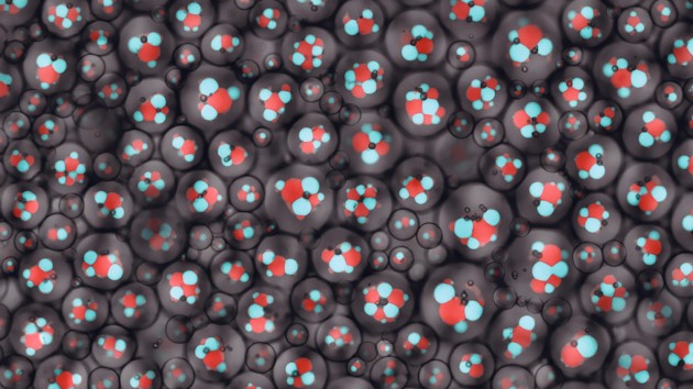 Microscope image of engineered RNA nanostars