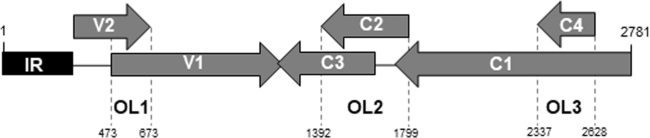 View full size image