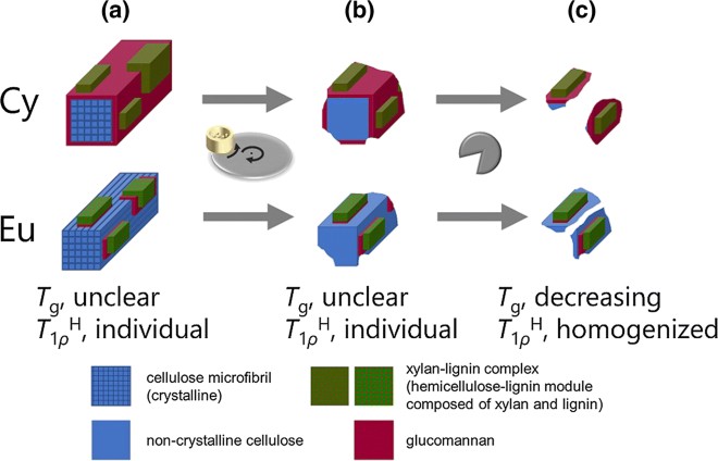 https://static-content.springer.com/image/art%3A10.1007%2Fs10570-019-02792-4/MediaObjects/10570_2019_2792_Figa_HTML.png