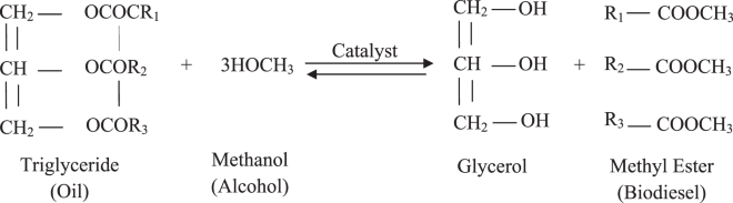 research paper on biodiesel production pdf