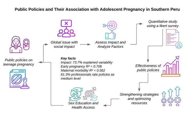 Public policies and their association with adolescent pregnancy in ...