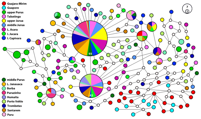 Population Genetic Structure Of The Amazonian Black Flannelmouth Characin Characiformes Prochilodontidae Prochilodus Nigricans Spix Agassiz 19 Contemporary And Historical Gene Flow Of A Migratory And Abundant Fishery Species Springerlink
