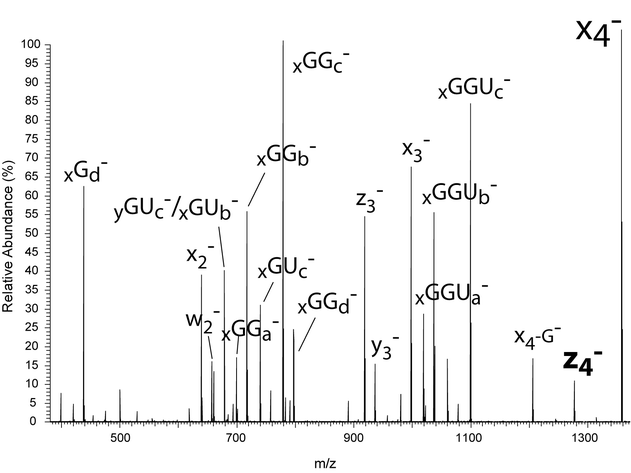 Tandem Mass Spectrometry Of Modified And Platinated Oligoribonucleotides Springerlink