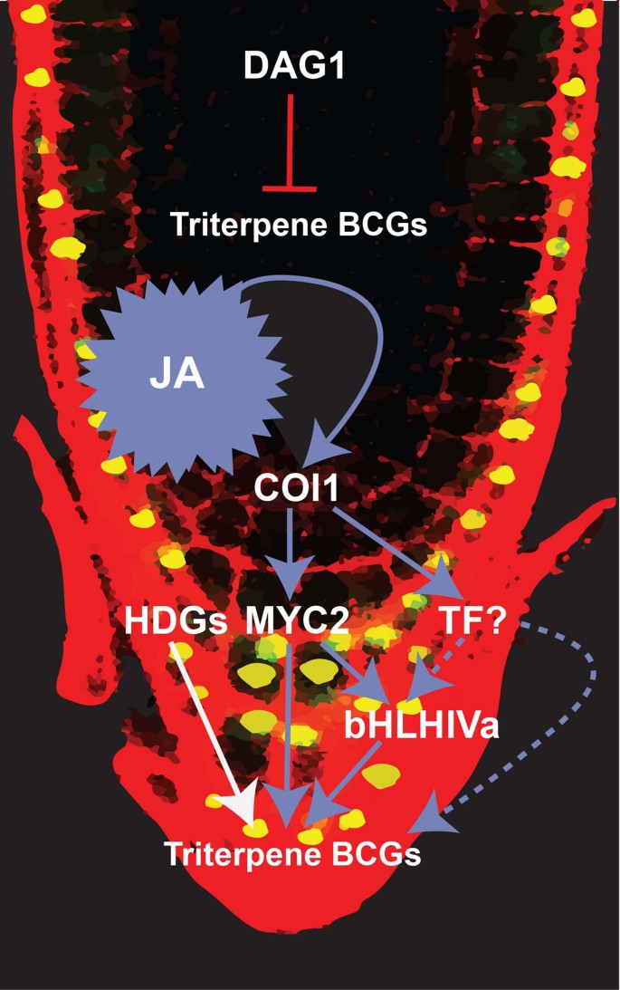 extended data figure 14