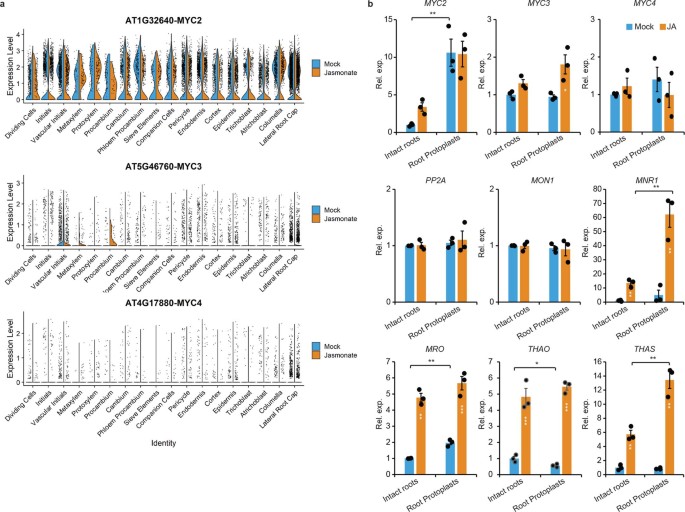 extended data figure 7