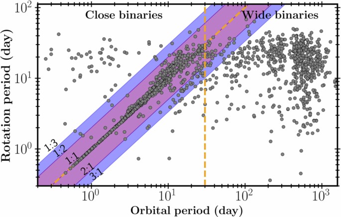 Enhanced magnetic activity in rapidly rotating binary stars | Nature ...
