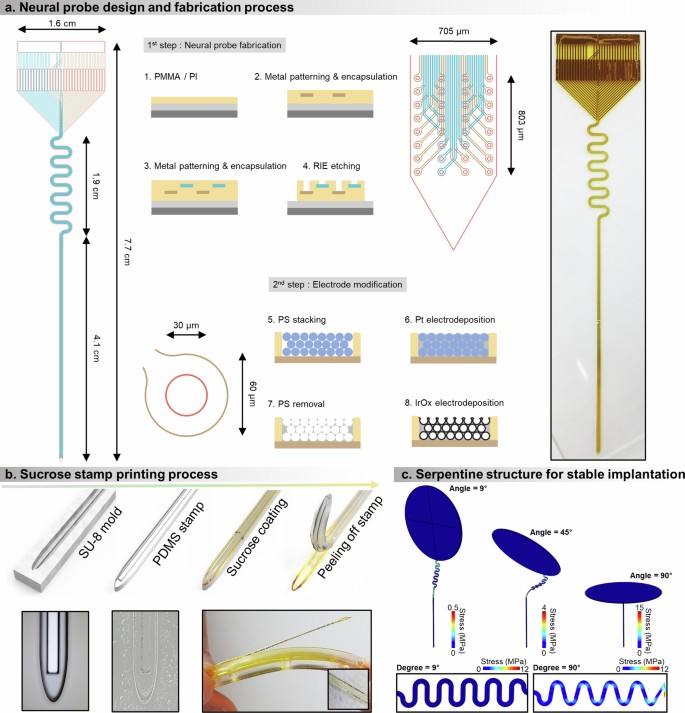 A stealthy neural recorder for the study of behaviour in primates ...