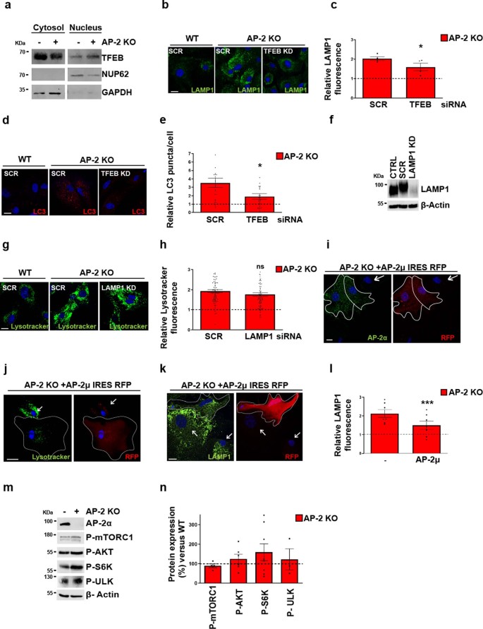 extended data figure 10