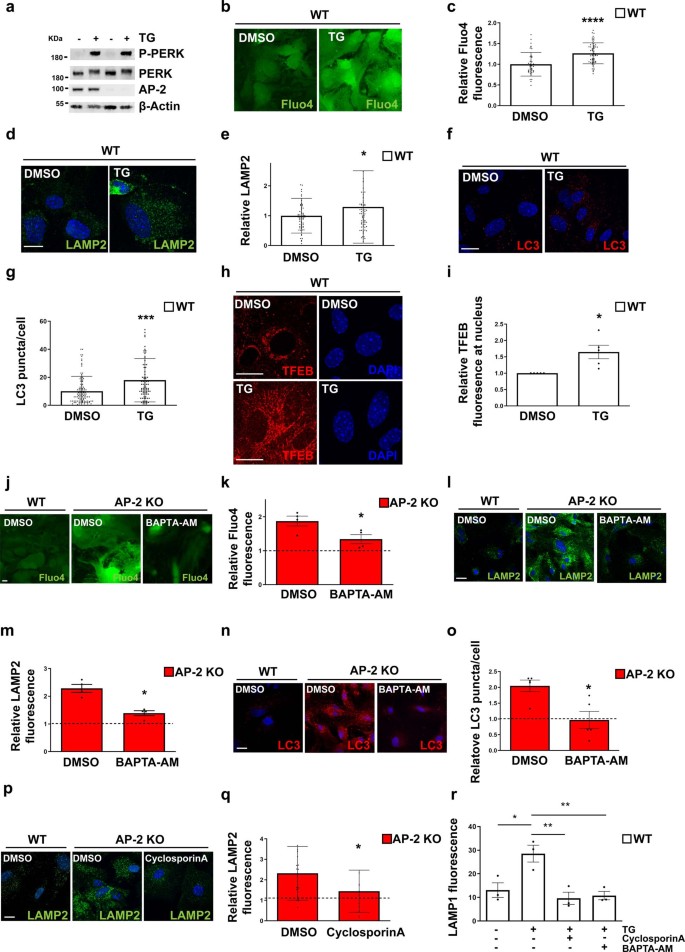 extended data figure 11