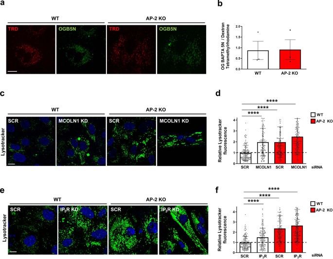 extended data figure 12