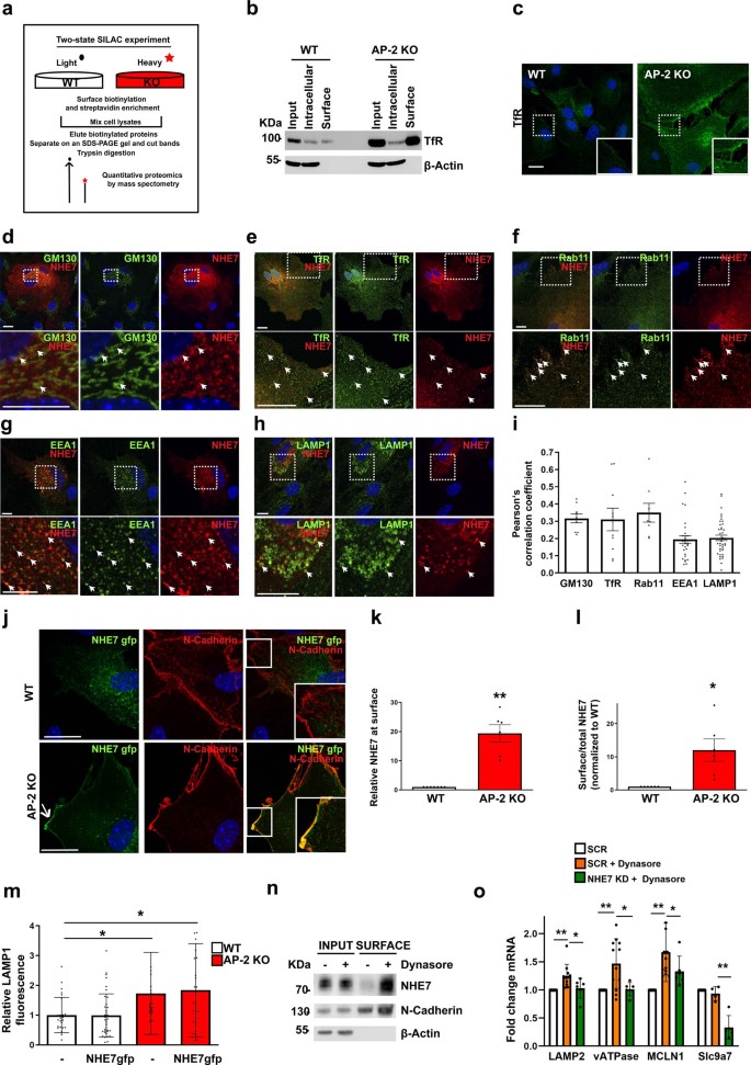extended data figure 13