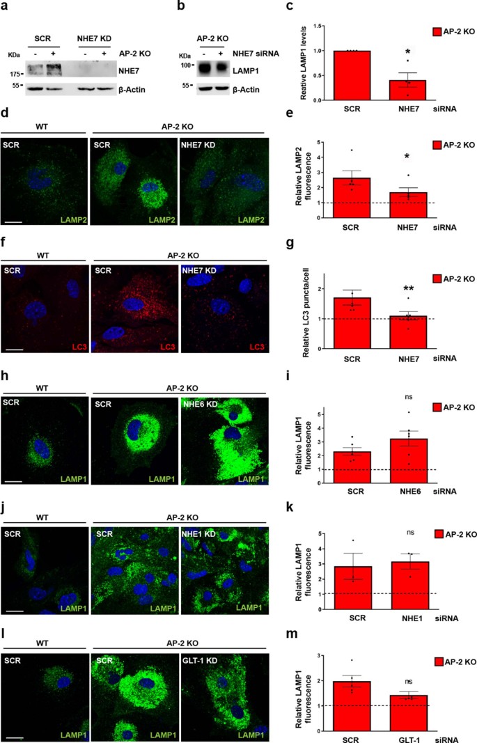 extended data figure 14