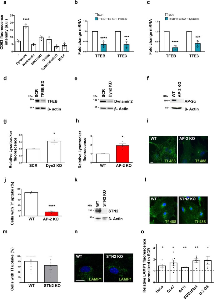 extended data figure 8