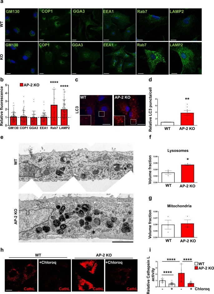 extended data figure 9