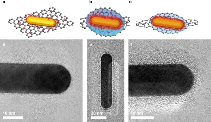 Direct visualization of ligands on gold nanoparticles in a liquid ...