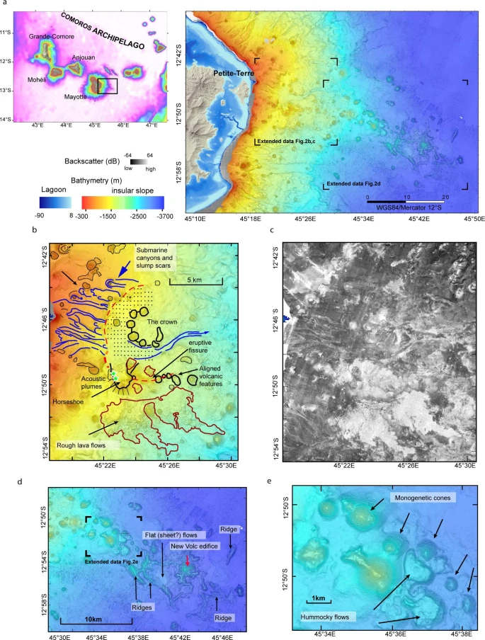 41561_2021_809_Fig7_ESM.jpg?as=webp