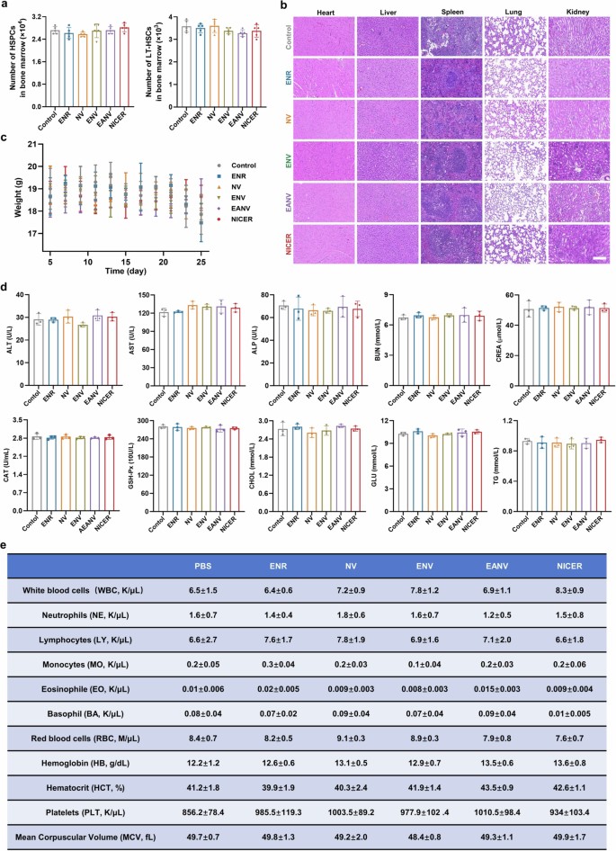 A nanovaccine targeting cancer stem cells and bulk cancer cells for ...