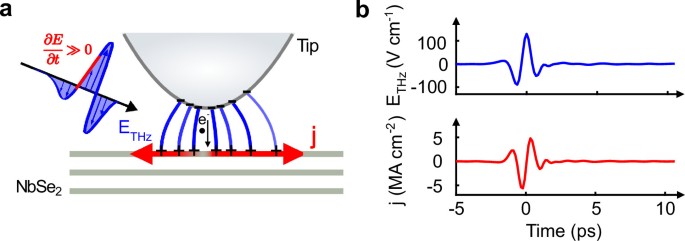 Terahertz spectroscopy of collective charge density wave dynamics at ...